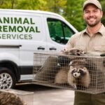 Animal Removal Services