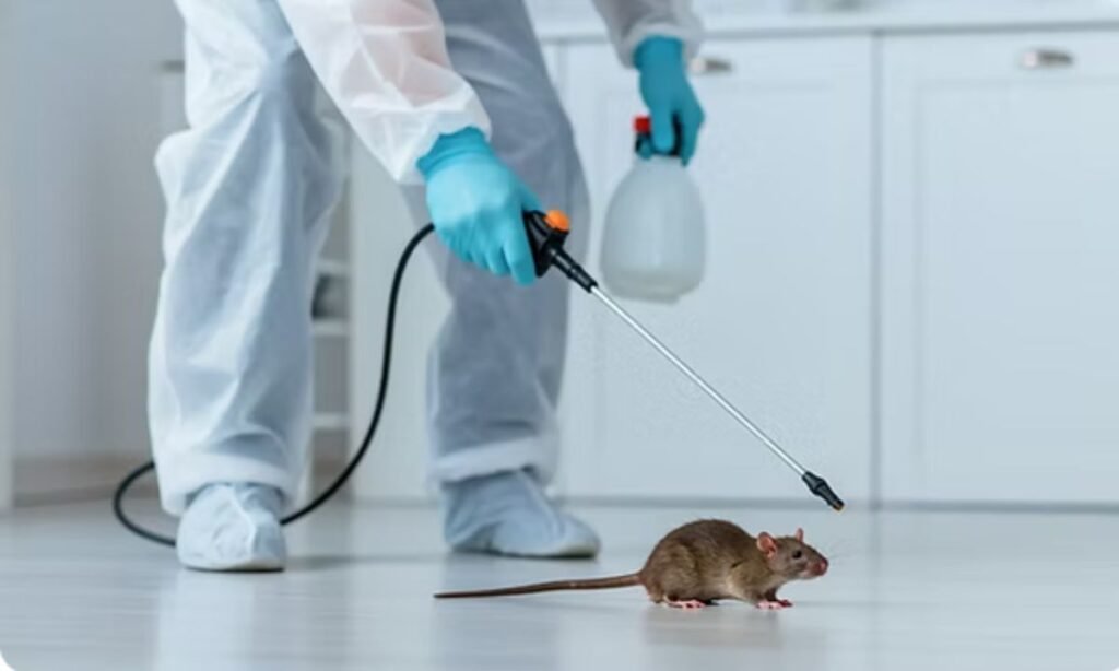 Rodent Control