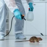 Rodent Control